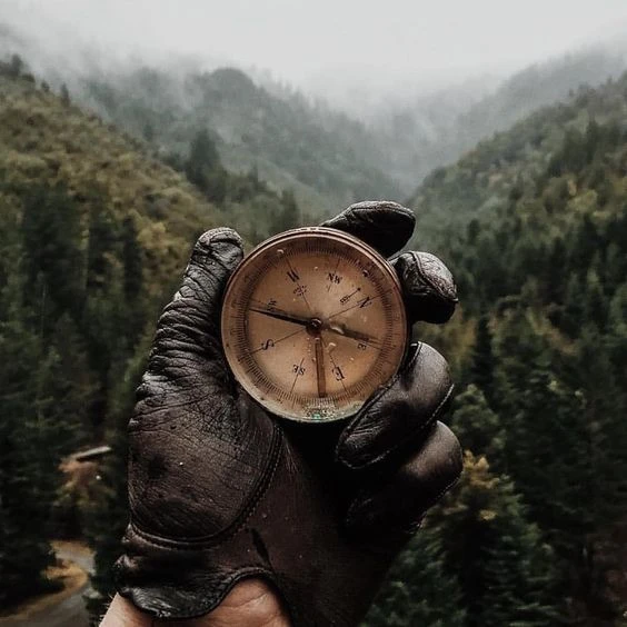 Логотип Телеграм канала leveinext. Бесплатная аналитика Telegram каналов