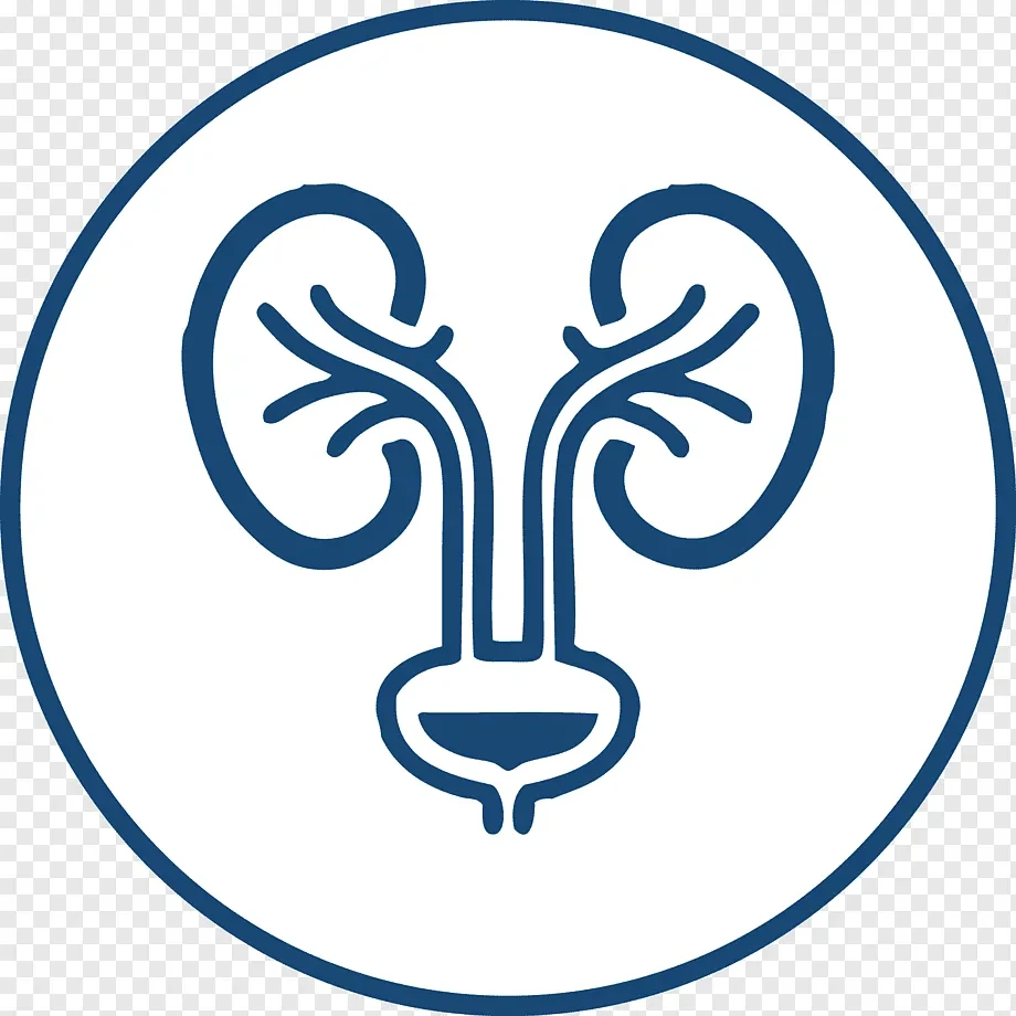 Логотип Телеграм канала dhk8icwjcsu22iqgmokrdy-2pcvmwnccgqz_gvzcgky. Бесплатная аналитика Telegram каналов