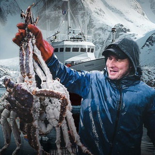 Логотип Телеграм канала . Бесплатная аналитика Telegram каналов