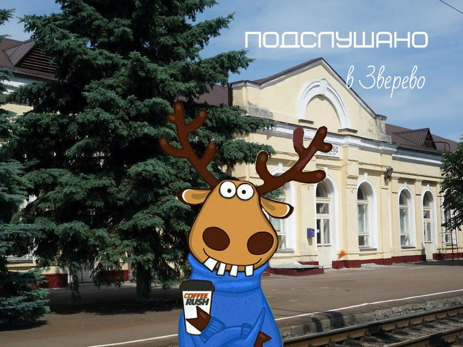 Логотип Телеграм канала vzverevo. Бесплатная аналитика Telegram каналов