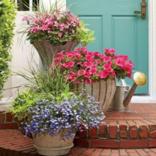 Telegram Channel logo ZalsamDecor. Free Telegram Channel Analytics