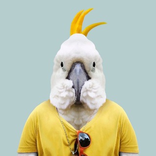 Логотип Телеграм канала funparrots. Бесплатная аналитика Telegram каналов