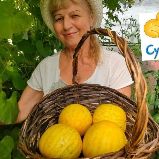 Telegram Channel logo public221902080. Free Telegram Channel Analytics