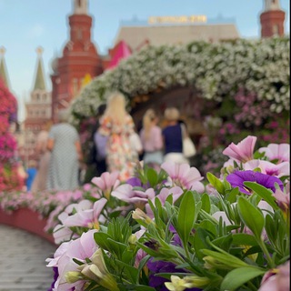 Логотип Телеграм канала slinguatimes. Бесплатная аналитика Telegram каналов