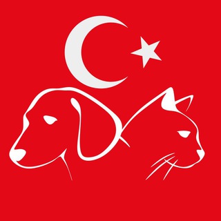 Telegram Channel logo turkey_pets. Free Telegram Channel Analytics