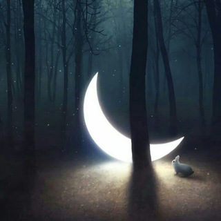 Telegram Channel logo Jungle Secrets. Free Telegram Channel Analytics