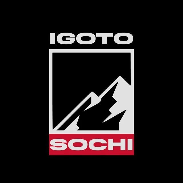 Telegram Channel logo igotosochi. Free Telegram Channel Analytics
