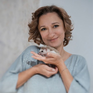 Логотип Телеграм канала . Бесплатная аналитика Telegram каналов