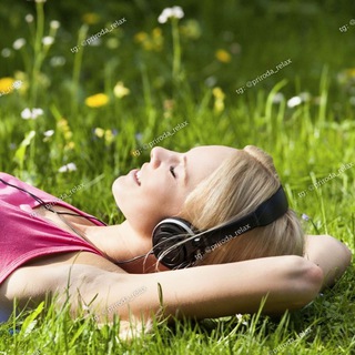 Логотип Телеграм канала ✨🌳⛈ЗВУКИ и МИР ПРИРОДЫ. Пение птиц и многое другое...🌲🕊✨. Бесплатная аналитика Telegram каналов