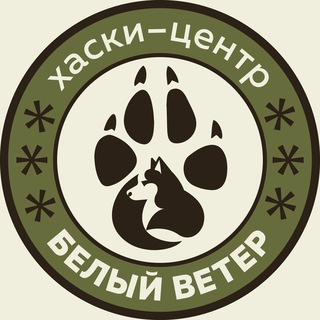 Логотип Телеграм канала . Бесплатная аналитика Telegram каналов