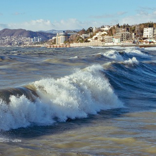 Telegram Channel logo baraholkasochi2023. Free Telegram Channel Analytics