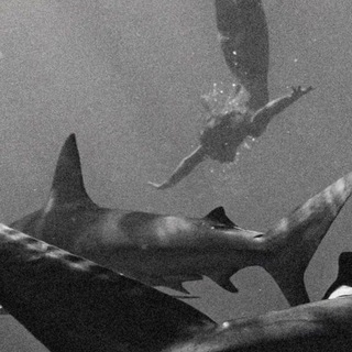 Логотип Телеграм канала 𝑫𝑶𝑳𝑩𝑰𝑻 𝑵𝑶𝑹𝑴𝑨𝑳'𝑵𝑶🦇. Бесплатная аналитика Telegram каналов