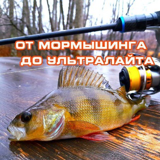 Логотип Телеграм канала ultraspin. Бесплатная аналитика Telegram каналов