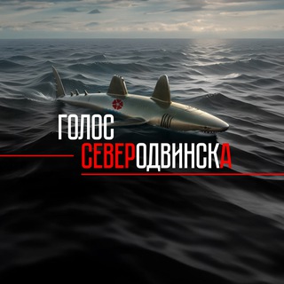 Логотип Телеграм канала . Бесплатная аналитика Telegram каналов