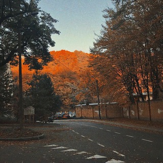 Логотип Телеграм канала from soul for souls. Бесплатная аналитика Telegram каналов