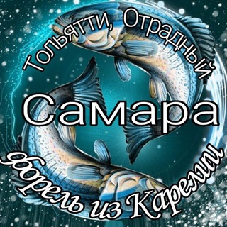 Логотип Телеграм канала forelsamara. Бесплатная аналитика Telegram каналов