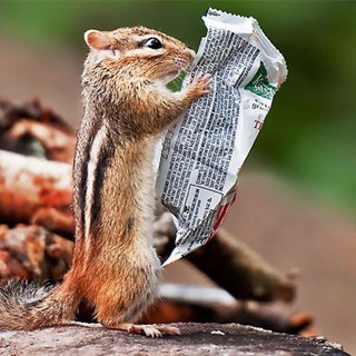 Telegram Channel logo . Free Telegram Channel Analytics