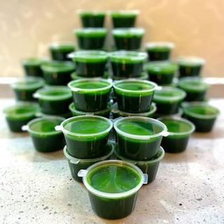 Логотип Телеграм канала . Бесплатная аналитика Telegram каналов