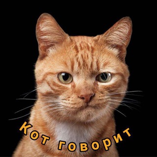 Логотип Телеграм канала Кот говорит. Бесплатная аналитика Telegram каналов