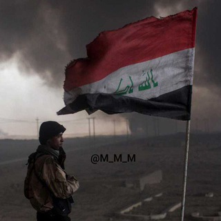 Логотип Телеграм канала City51 l Новости Мурманска и области. Бесплатная аналитика Telegram каналов