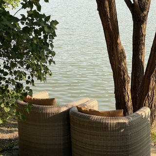 Логотип Телеграм канала Doctor Safiya 🛋️. Бесплатная аналитика Telegram каналов