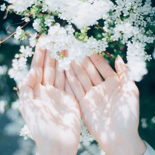 Telegram Channel logo God7girl. Free Telegram Channel Analytics