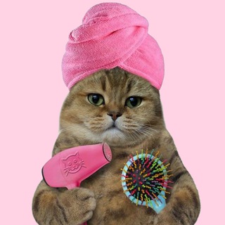 Логотип Телеграм канала +sY56ntiWi30zMzky. Бесплатная аналитика Telegram каналов