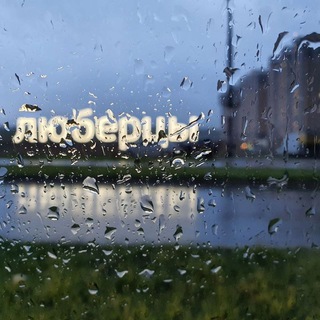 Логотип Телеграм канала samolet_feed. Бесплатная аналитика Telegram каналов