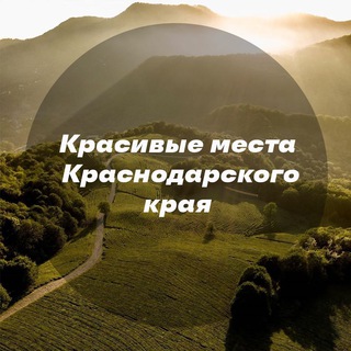 Логотип Телеграм канала viewkrd. Бесплатная аналитика Telegram каналов