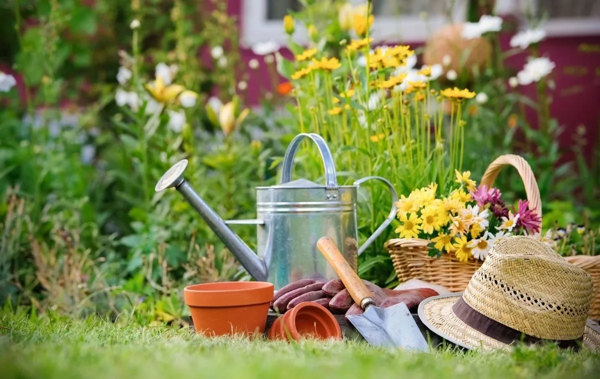 Telegram Channel logo public217124657. Free Telegram Channel Analytics