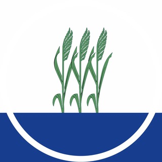 Логотип Телеграм канала +QRu0gDZIaJFmMWIy. Бесплатная аналитика Telegram каналов