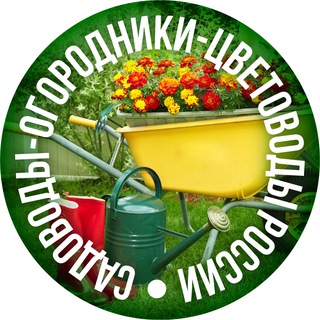 Telegram Channel logo sadogorod81. Free Telegram Channel Analytics