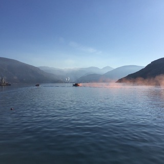 Логотип Телеграм канала Свобода ума. Бесплатная аналитика Telegram каналов