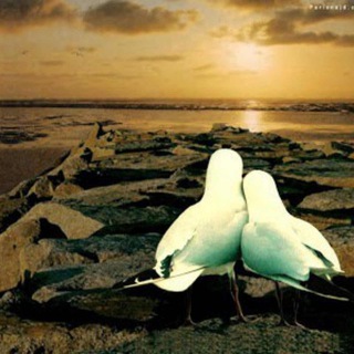 Логотип Телеграм канала الـوعـد💔تـبـاًلـشـوق. Бесплатная аналитика Telegram каналов