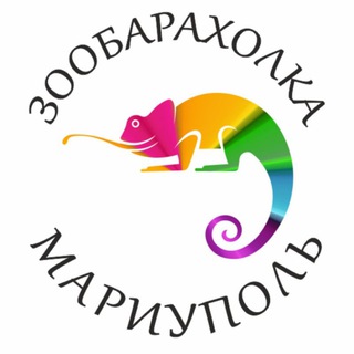 Telegram Channel logo zoomariupol. Free Telegram Channel Analytics