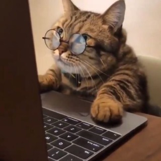 Логотип Телеграм канала теперь я understand | english vocabulary. Бесплатная аналитика Telegram каналов