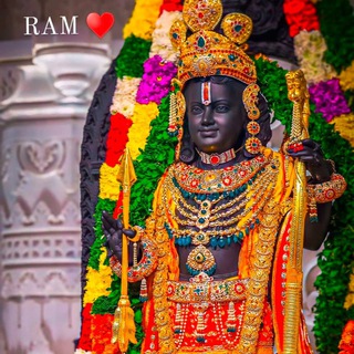 Логотип Телеграм канала CricketWinnerBetting. Бесплатная аналитика Telegram каналов