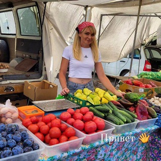 Логотип Телеграм канала . Бесплатная аналитика Telegram каналов