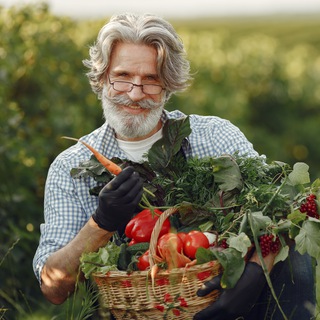 Telegram Channel logo ogorod_sad_dacha. Free Telegram Channel Analytics