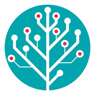 Telegram Channel logo algoses. Free Telegram Channel Analytics