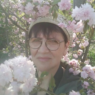 Логотип Телеграм канала Мирослава Бердник. Бесплатная аналитика Telegram каналов