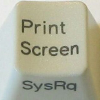 Логотип Телеграм канала Скриншот Правды Z. Бесплатная аналитика Telegram каналов