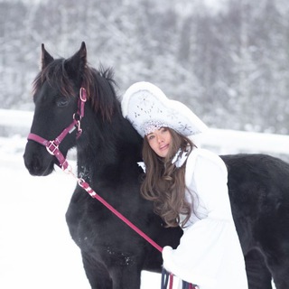 Логотип Телеграм канала . Бесплатная аналитика Telegram каналов