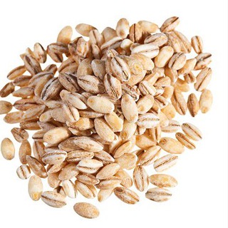 Логотип Телеграм канала . Бесплатная аналитика Telegram каналов