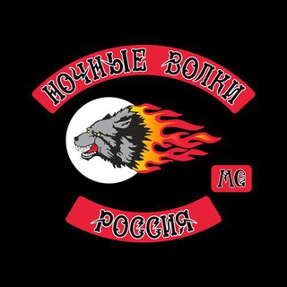 Логотип Телеграм канала . Бесплатная аналитика Telegram каналов