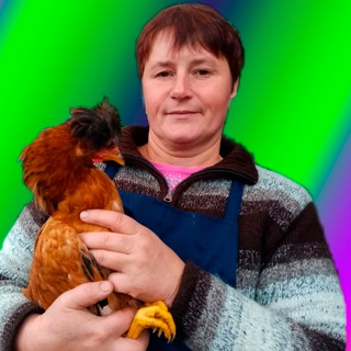 Telegram Channel logo danaiuu. Free Telegram Channel Analytics