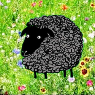 Логотип Телеграм канала . Бесплатная аналитика Telegram каналов