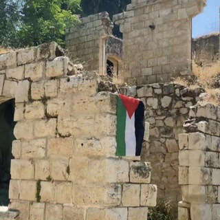 Логотип Телеграм канала طَرِيقُ الـفِرْدَوٰسِ.. Бесплатная аналитика Telegram каналов