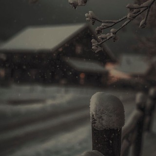 Логотип Телеграм канала . Бесплатная аналитика Telegram каналов