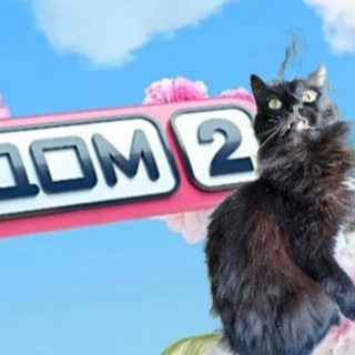 Telegram Channel logo dom2_leopold. Free Telegram Channel Analytics